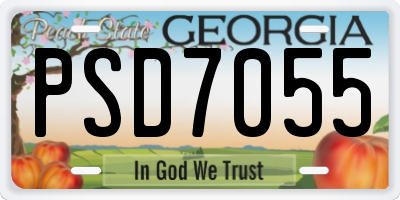GA license plate PSD7055