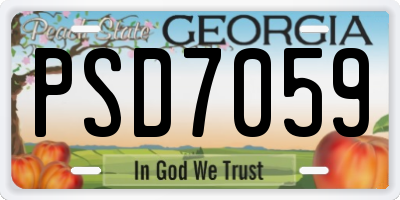 GA license plate PSD7059