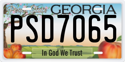 GA license plate PSD7065