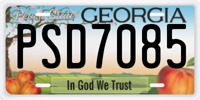 GA license plate PSD7085