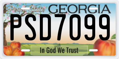 GA license plate PSD7099