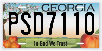 GA license plate PSD7110