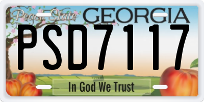GA license plate PSD7117