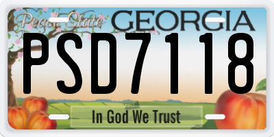 GA license plate PSD7118