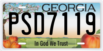 GA license plate PSD7119