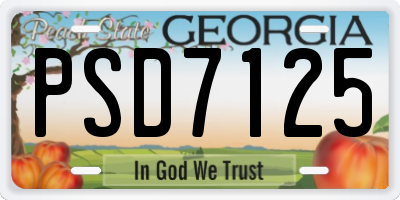 GA license plate PSD7125