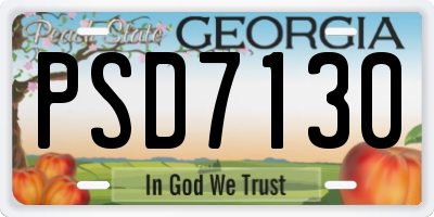 GA license plate PSD7130