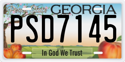 GA license plate PSD7145