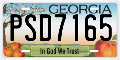 GA license plate PSD7165