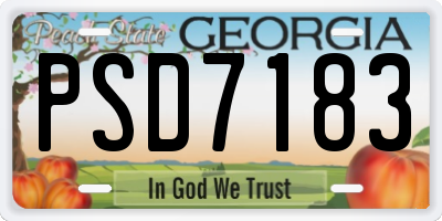 GA license plate PSD7183