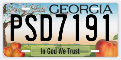 GA license plate PSD7191
