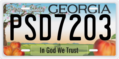 GA license plate PSD7203