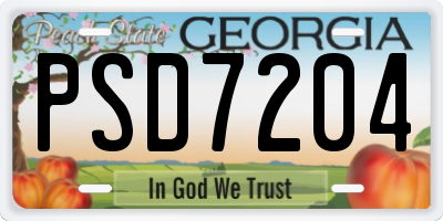 GA license plate PSD7204