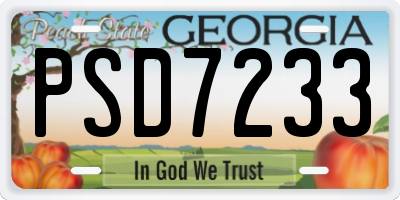 GA license plate PSD7233