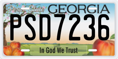 GA license plate PSD7236