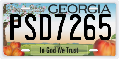 GA license plate PSD7265