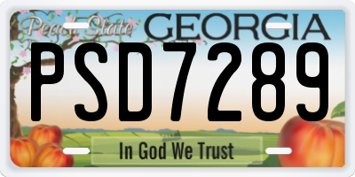 GA license plate PSD7289