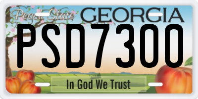 GA license plate PSD7300