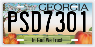 GA license plate PSD7301