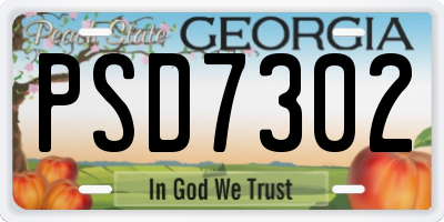 GA license plate PSD7302
