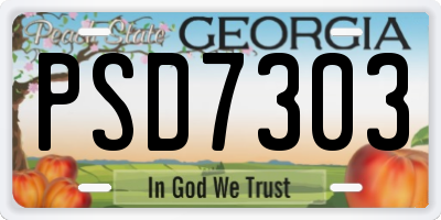 GA license plate PSD7303