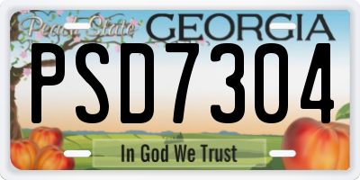 GA license plate PSD7304