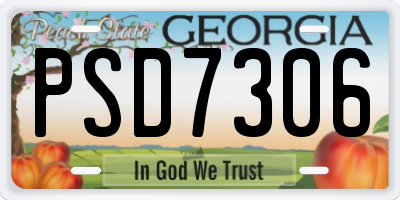 GA license plate PSD7306