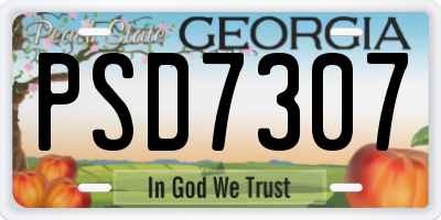 GA license plate PSD7307