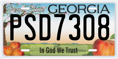 GA license plate PSD7308