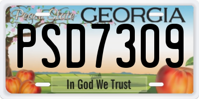 GA license plate PSD7309