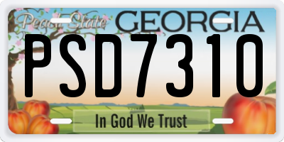 GA license plate PSD7310