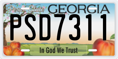 GA license plate PSD7311