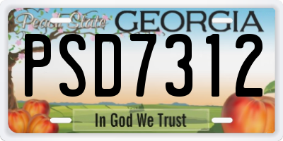 GA license plate PSD7312