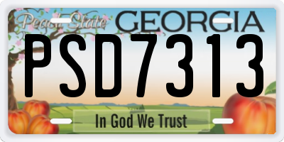 GA license plate PSD7313