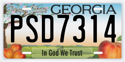 GA license plate PSD7314