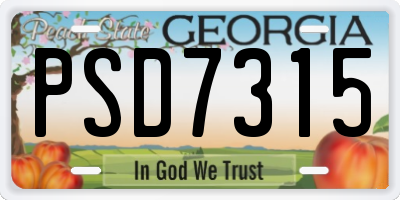 GA license plate PSD7315