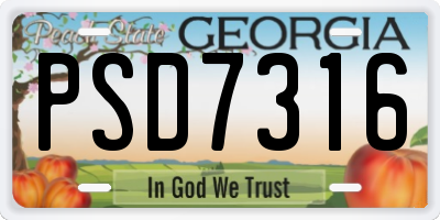 GA license plate PSD7316