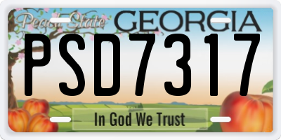 GA license plate PSD7317