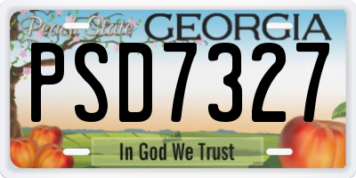 GA license plate PSD7327