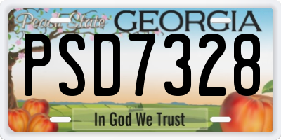 GA license plate PSD7328