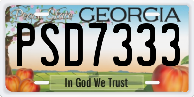 GA license plate PSD7333