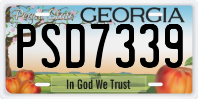 GA license plate PSD7339