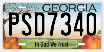 GA license plate PSD7340
