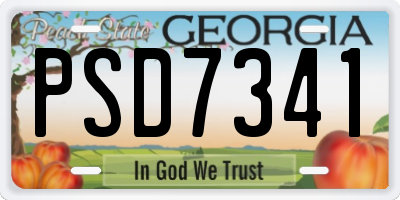 GA license plate PSD7341