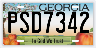 GA license plate PSD7342