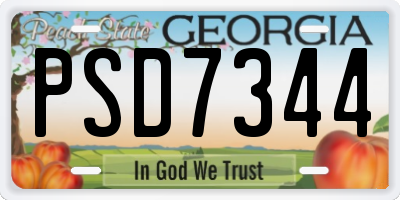 GA license plate PSD7344