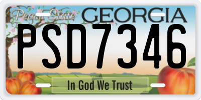 GA license plate PSD7346