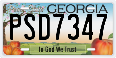 GA license plate PSD7347