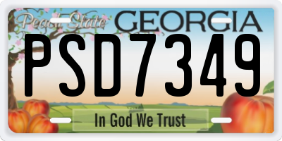 GA license plate PSD7349