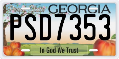 GA license plate PSD7353